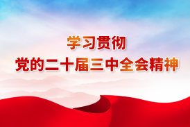 人力资源社会保障部等5部门关于进一步健全就业公共服